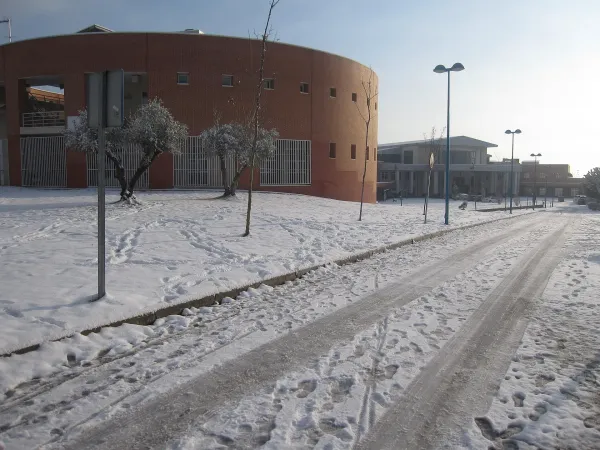Conservatorio Profesional De Musica De Getafe