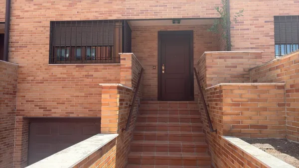 Pauta