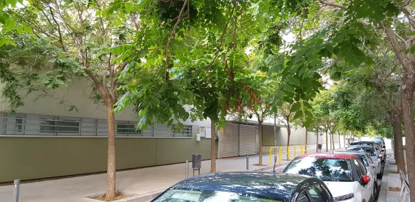 Escola Mas Boadella